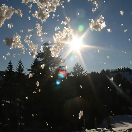 Allgaeu Appartement Missen-Wilhams